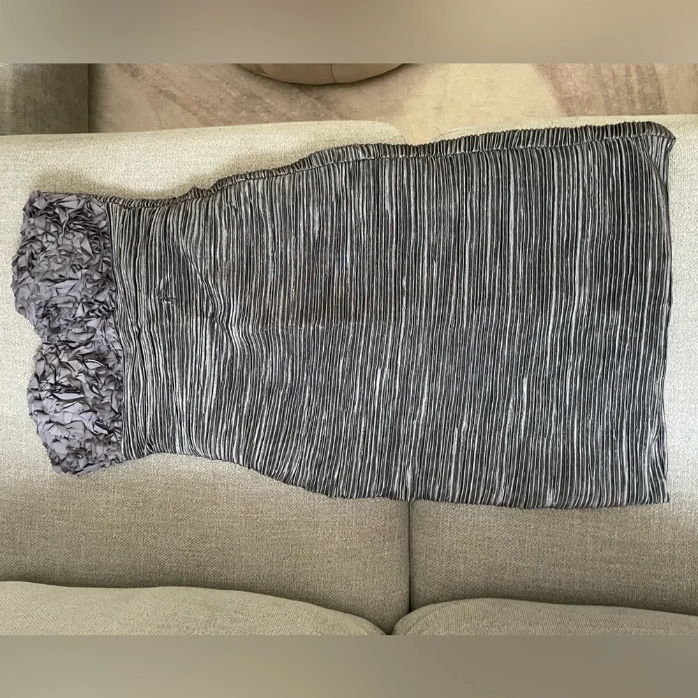 Daisy strapless silver dress - Picture 1 of 4